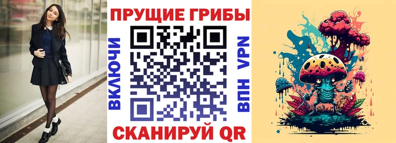 где найти   Козьмодемьянск  Галлюциногенные грибы MAGIC MUSHROOMS 
